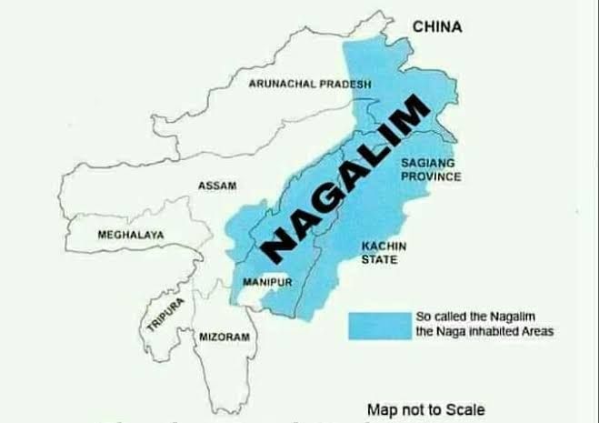 INTEL-24 tweet media