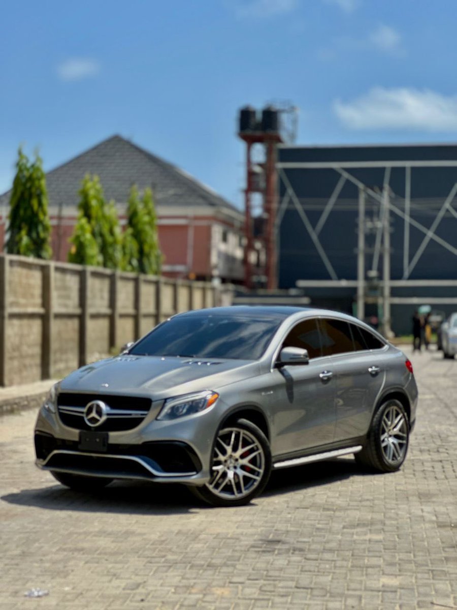 B¹G ZIM tweet media