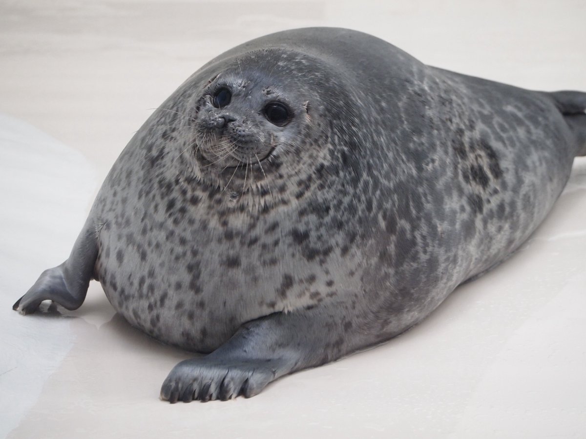 Mayuko782 tweet media