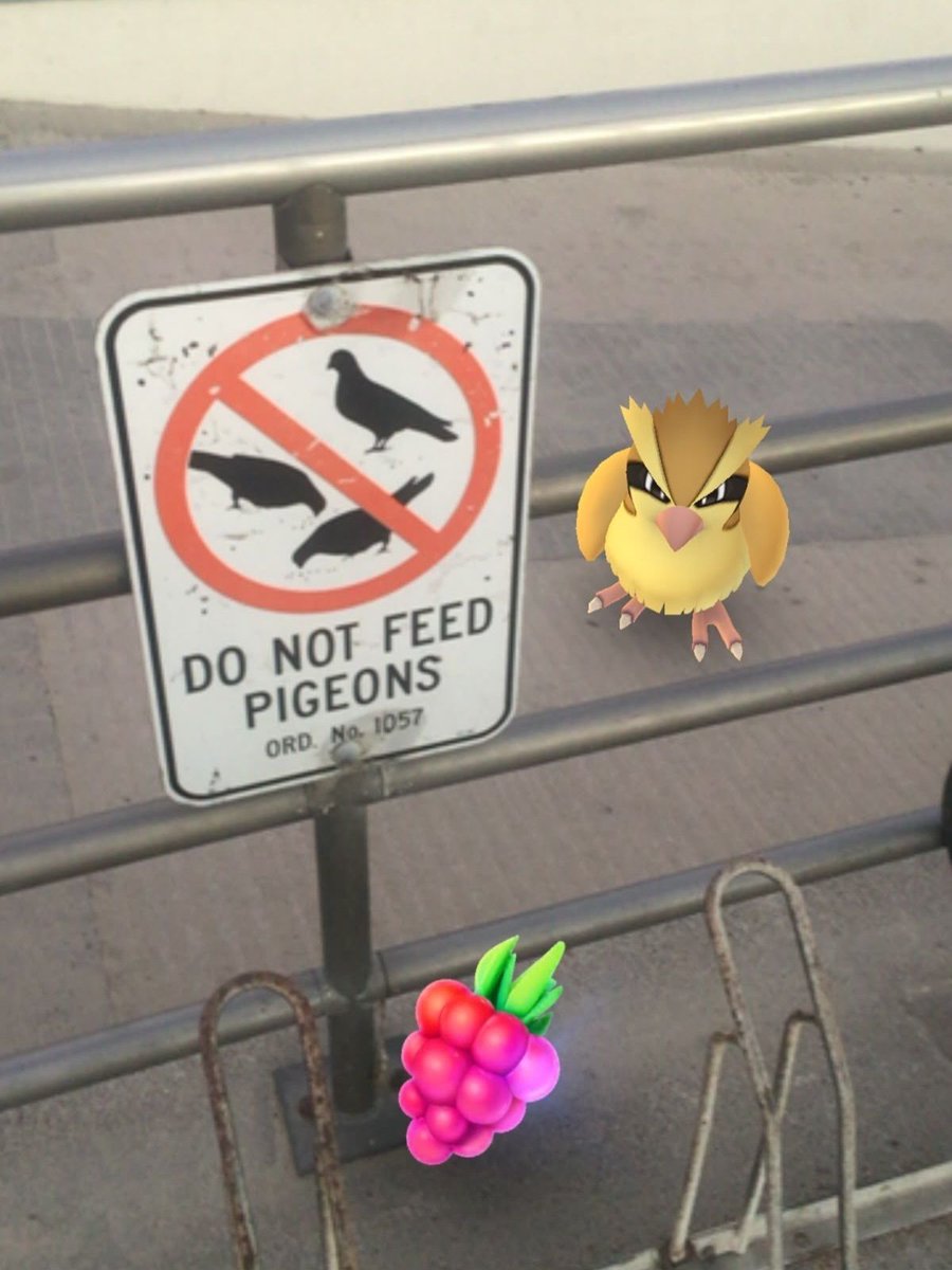 Pokémon Daily (@pokemon_dailyy) on Twitter photo 