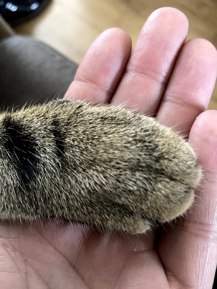 Ⓜ️arcel ☺️ tweet media