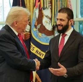 ✦✦✦ 𝙿𝚊𝚖𝚙𝚑𝚕𝚎𝚝𝚜 ✦✦✦ tweet media