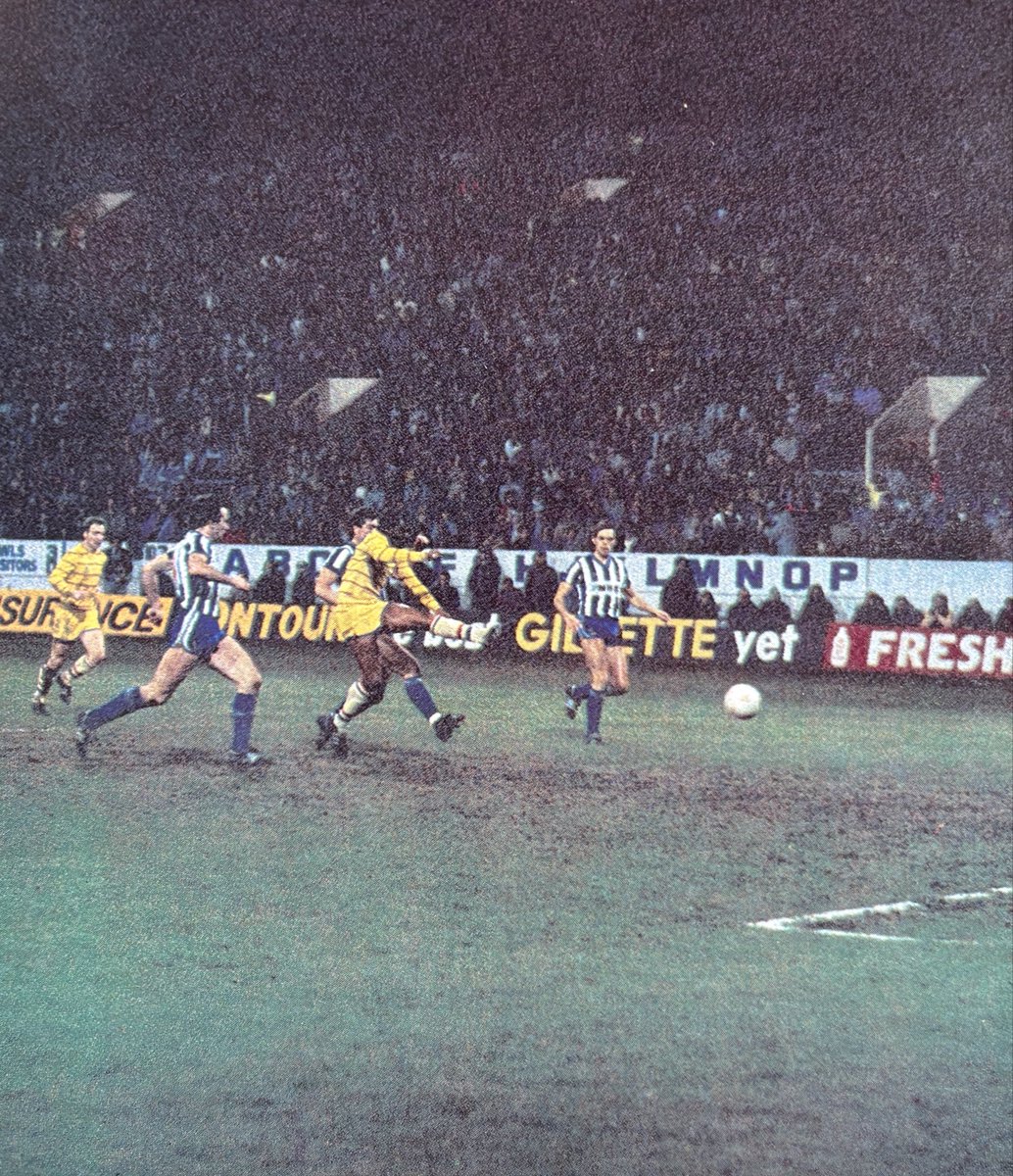 BygoneChelsea tweet media