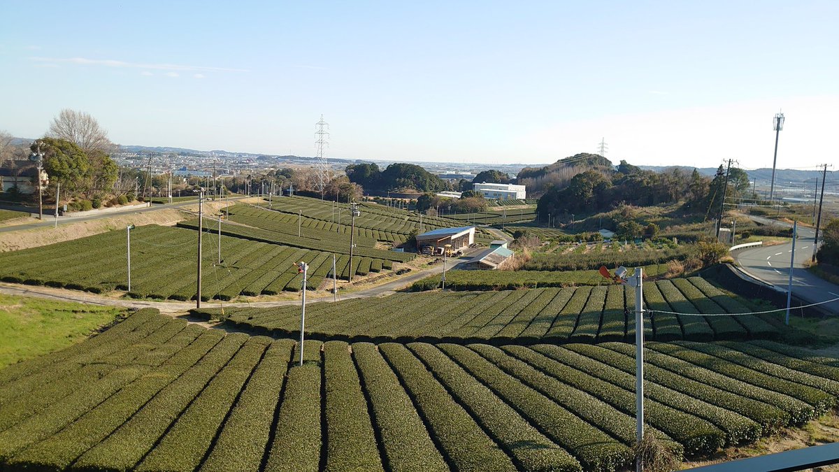 ざわちん tweet media