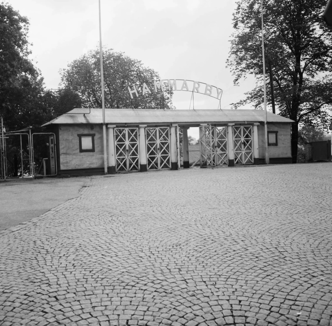 Riddersporre tweet media