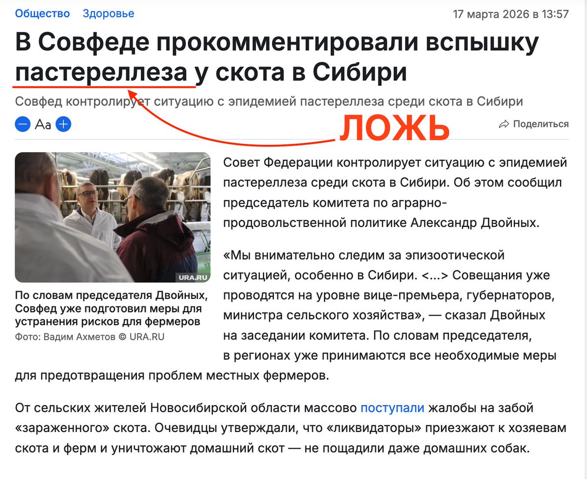 Alexander Pomazuev tweet media