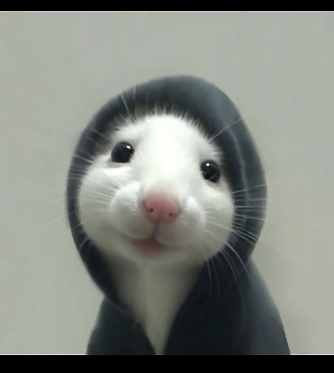 Prof cheems ॐ tweet media