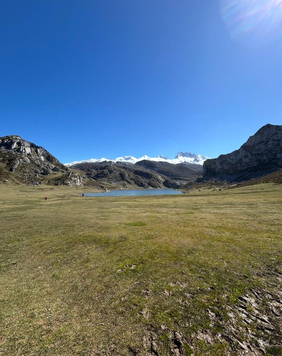 Paula Rodríguez tweet media