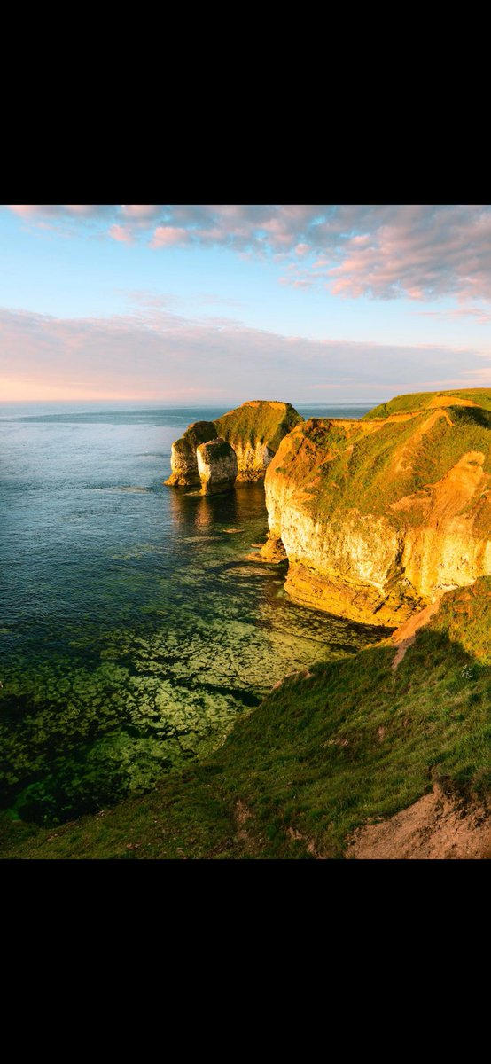 A View From Yorkshire 🏴󠁧󠁢󠁥󠁮󠁧󠁿 tweet media