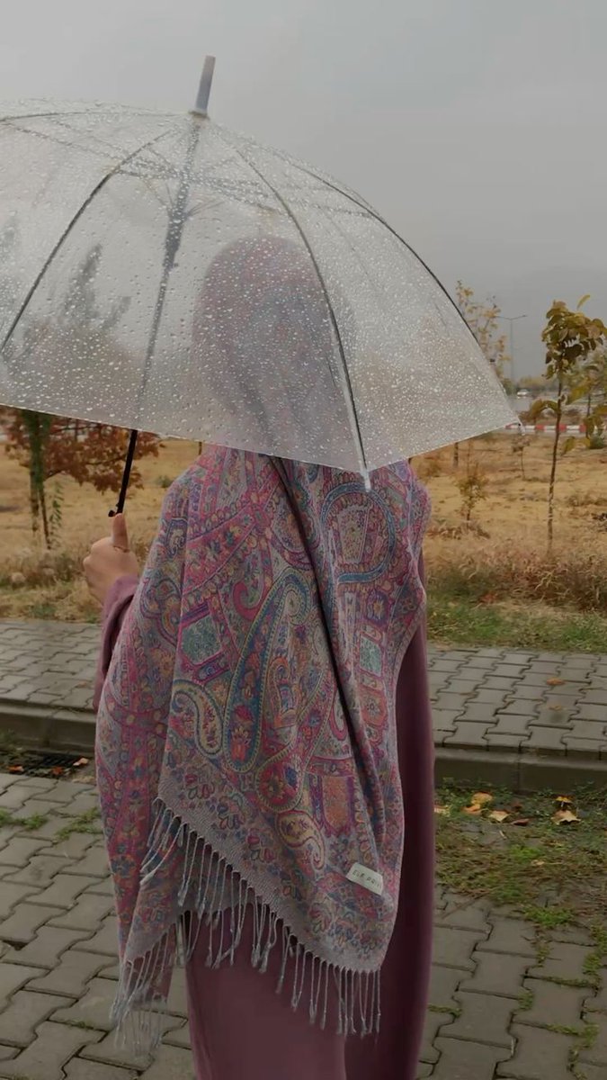 aymann.^᪲᪲᪲ tweet media