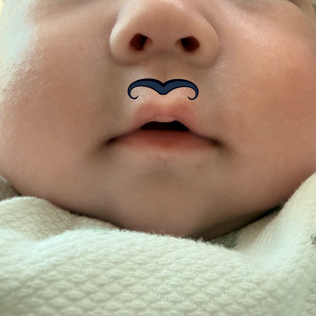 텍스아빠 (T.X.Dad) tweet media