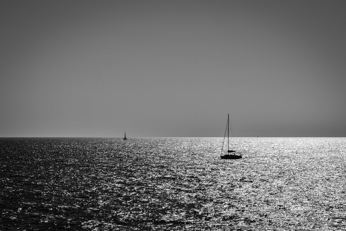 Elias_t 💎 tweet media