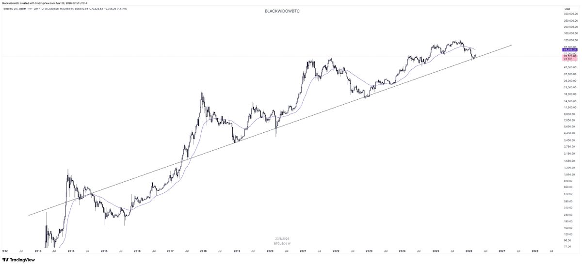 ₿lackwidow 🕷 tweet media