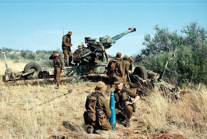 Mike the Warthog tweet media