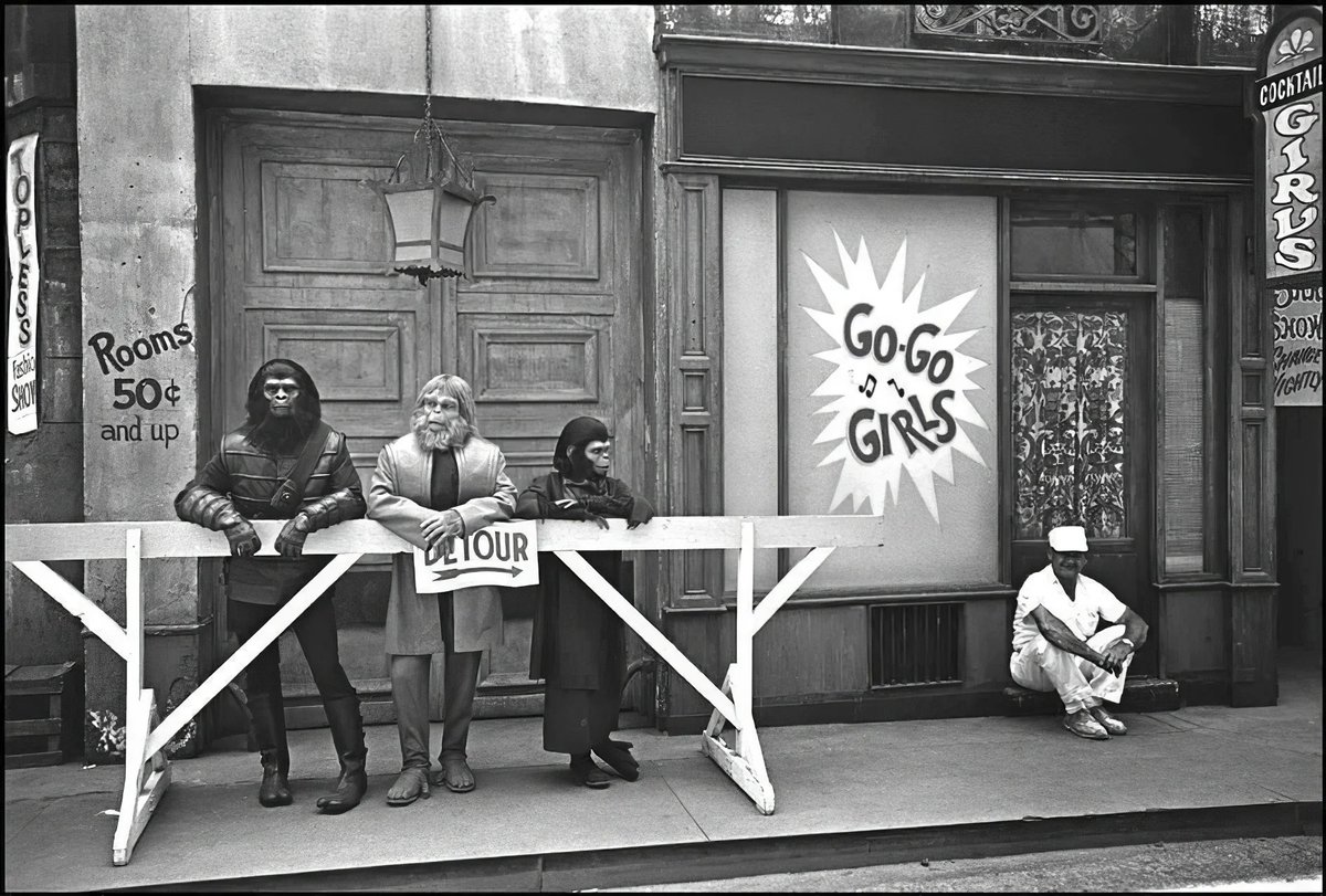 Remnants of the Past tweet media