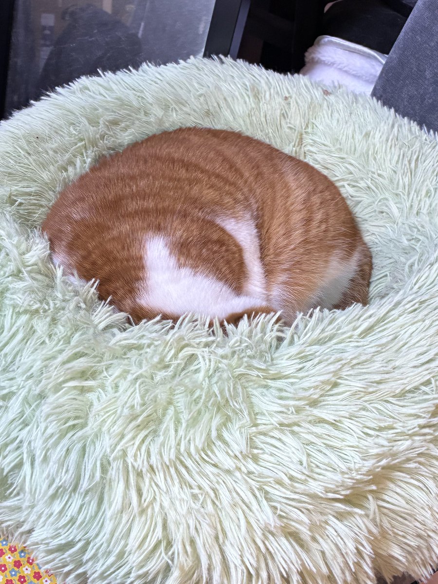 目黒しおり tweet media