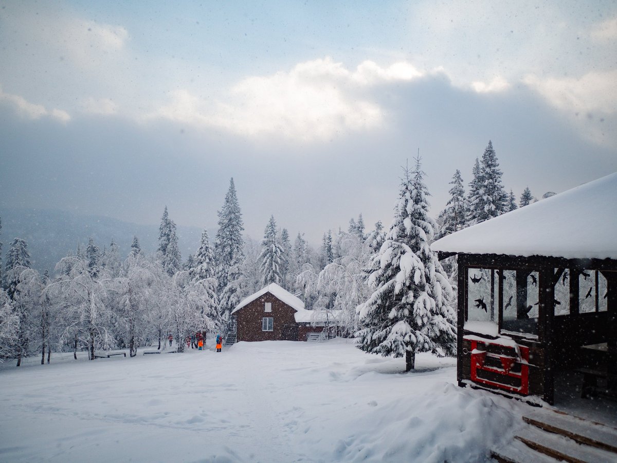 Johnny Rebel tweet media