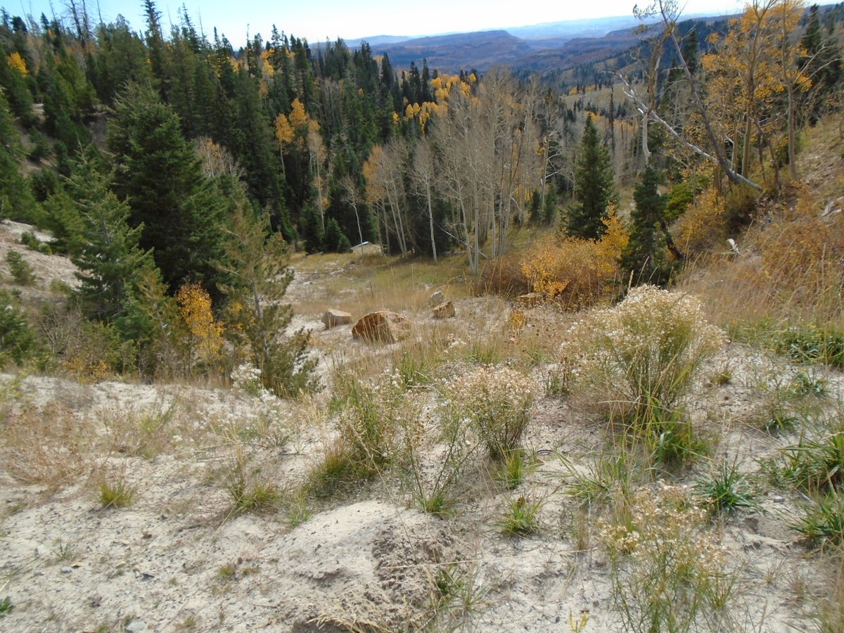 jay beacham tweet media