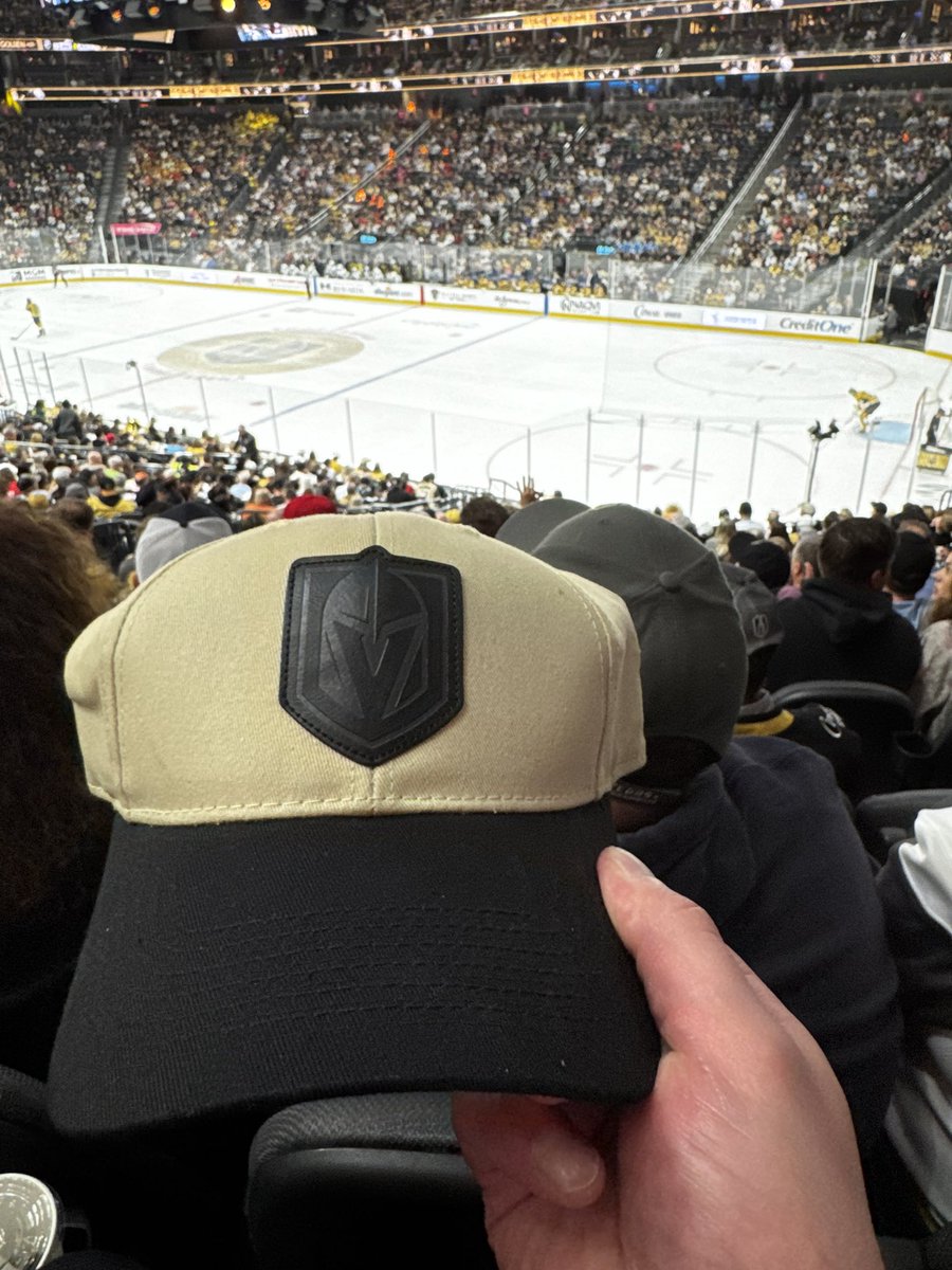 brian 🏒🦣 tweet media