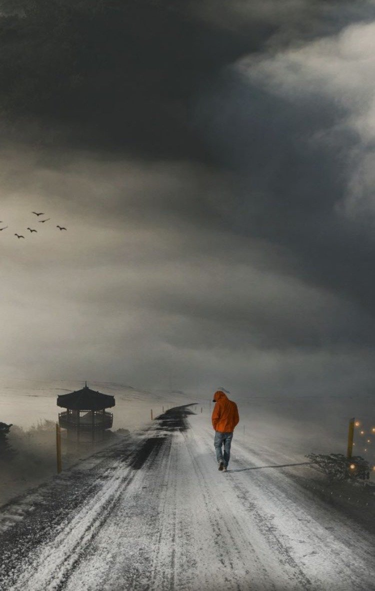 Jonathan Carroll tweet media