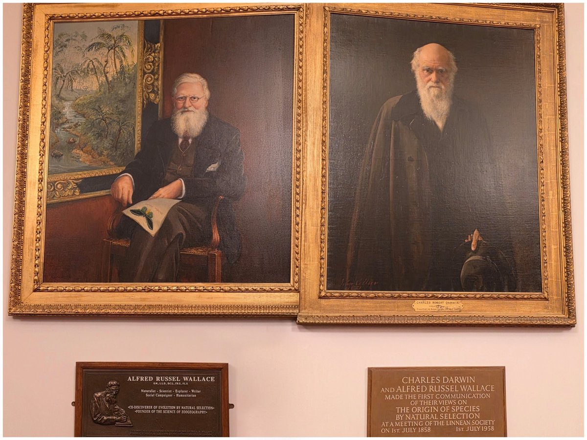 Jehosephat Trimbleshank tweet media