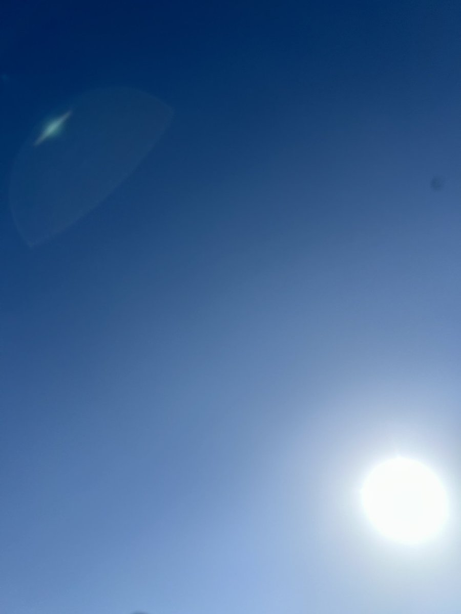 🐟あんり🐟外周副隊長 tweet media