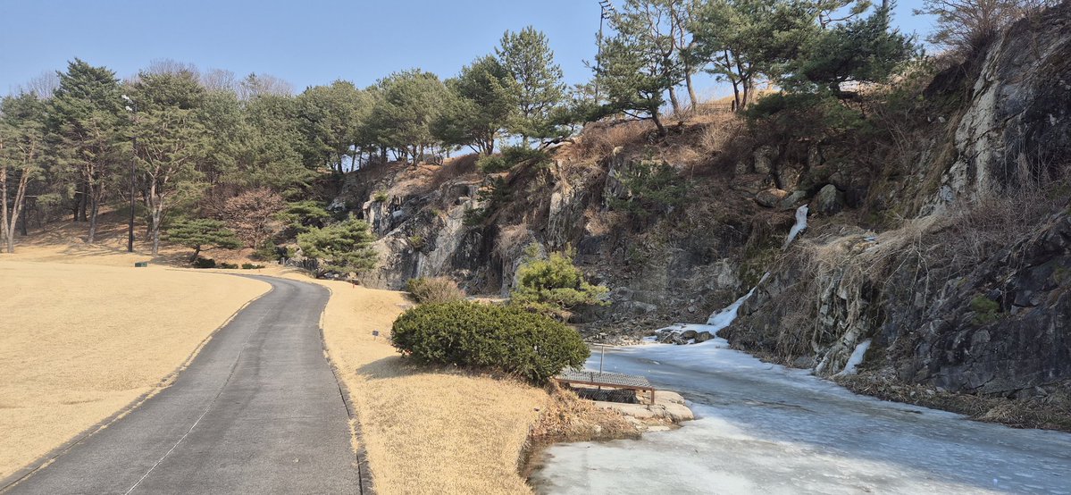 디벨로퍼 tweet media