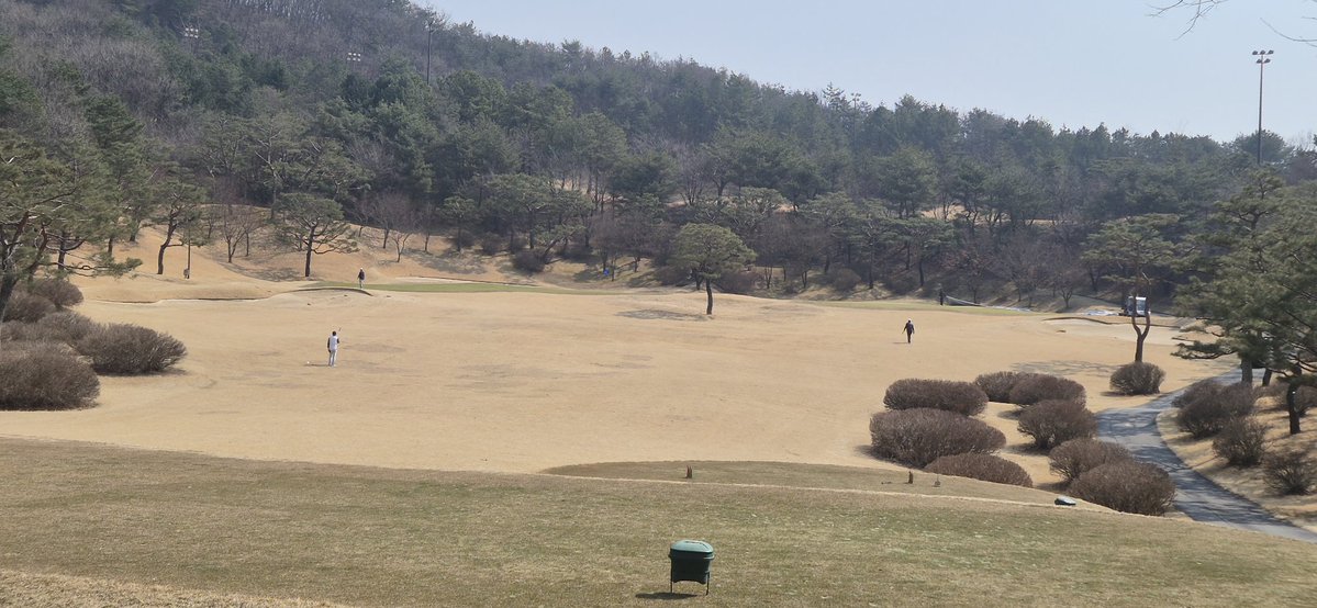 디벨로퍼 tweet media