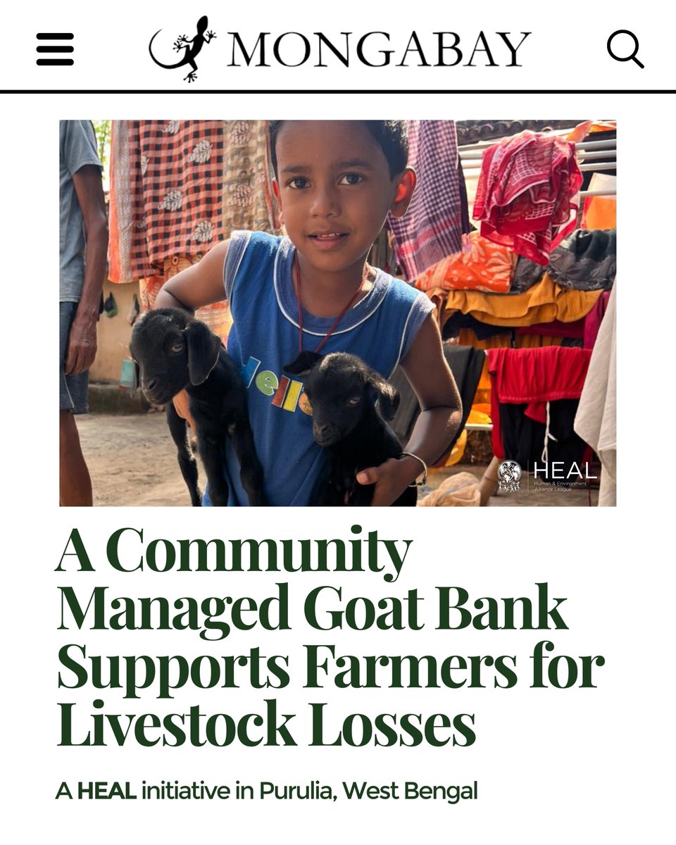 Human & Environment Alliance League tweet media