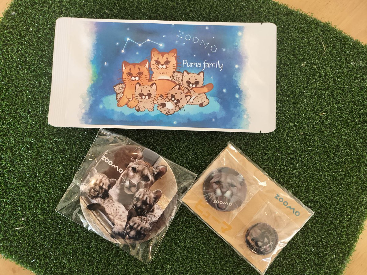 盛岡市動物公園 ZOOMO tweet media