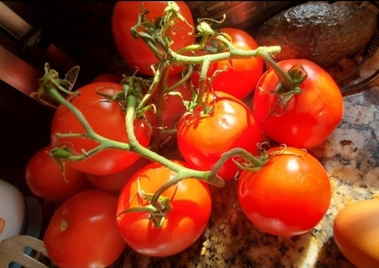 ★Nate D Hernandez★ tweet media