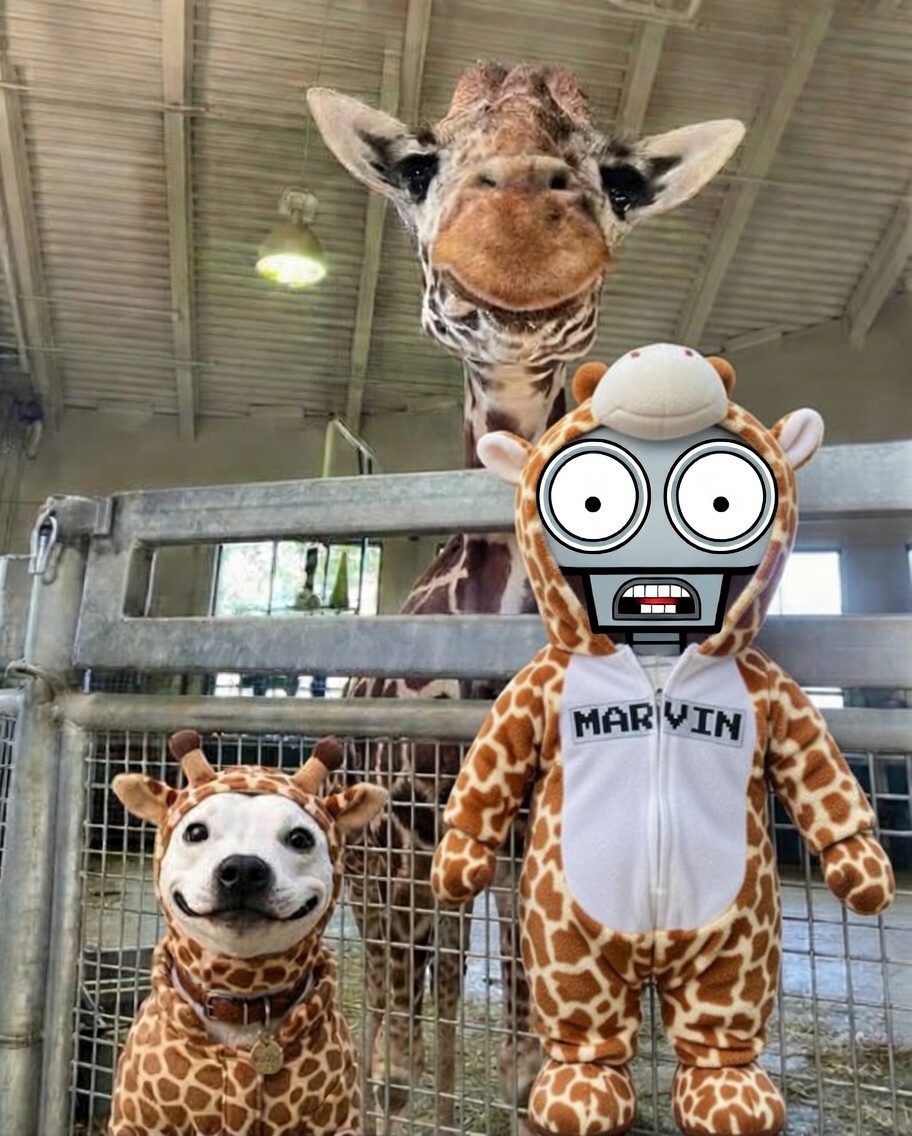 MarvinTheRobot tweet media