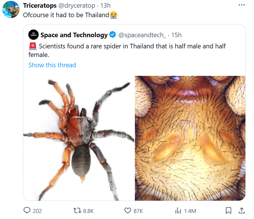 smolting (wassie, verse) tweet media