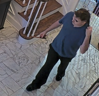 Shirmptank tweet media