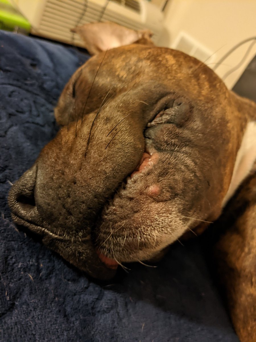 🇺🇸 Gary Smith III 🇺🇸 tweet media