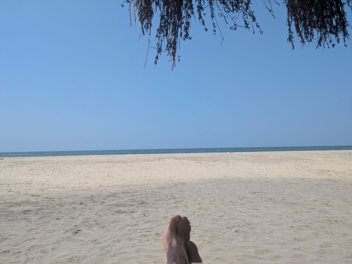 Kelly Butler tweet media