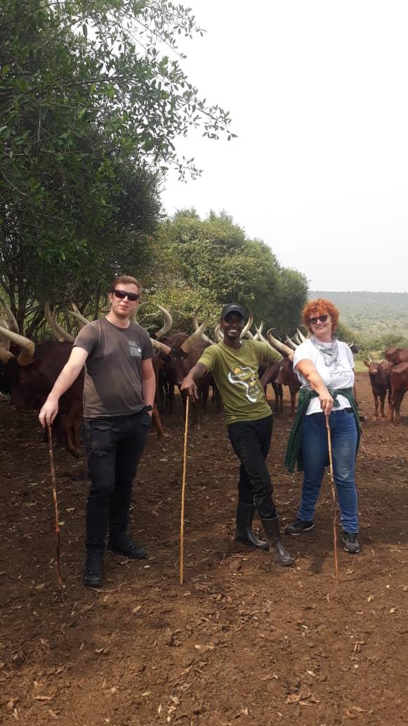 Albert K tweet media