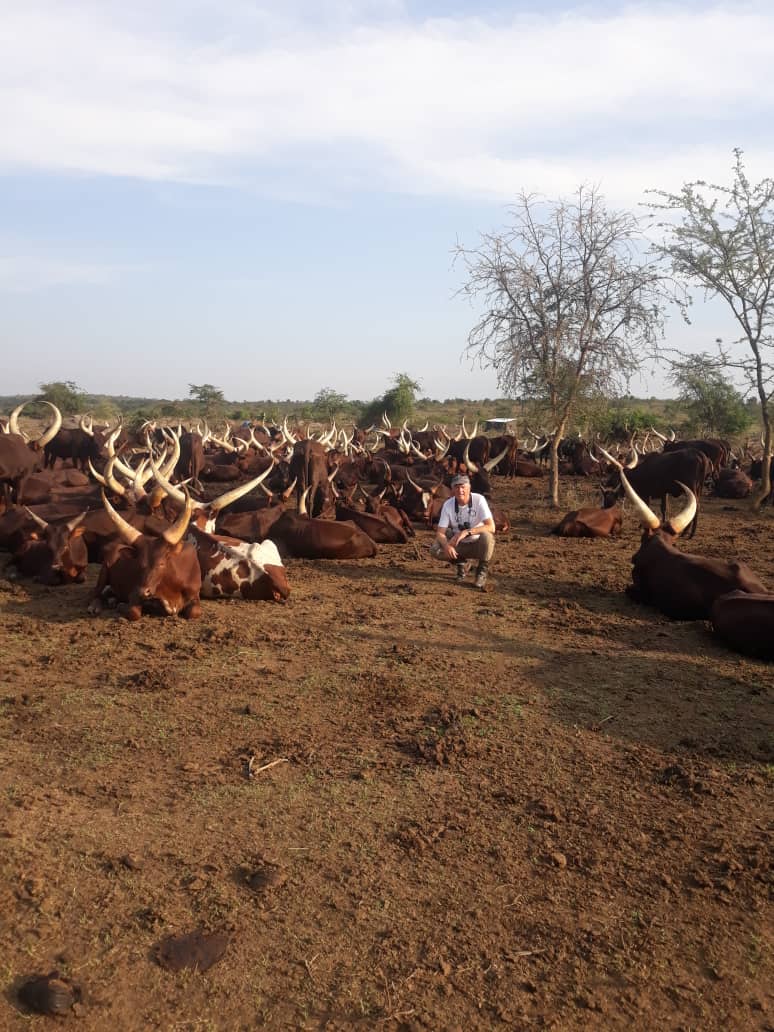 Albert K tweet media