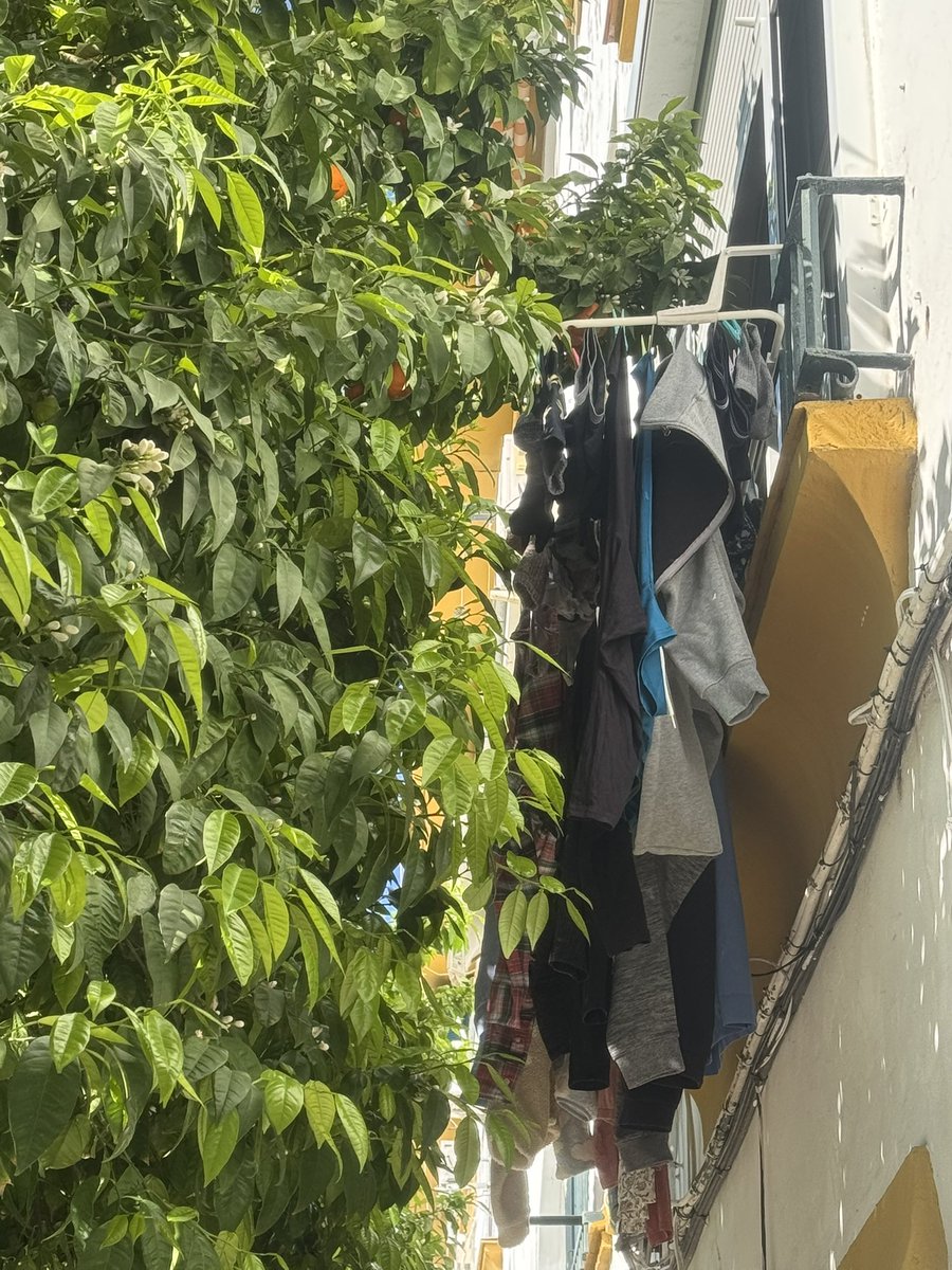 Antonio Rodríguez tweet media