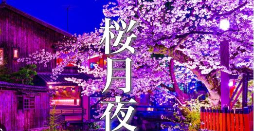 お美沙🌷Princess-M💰爆益舎 tweet media