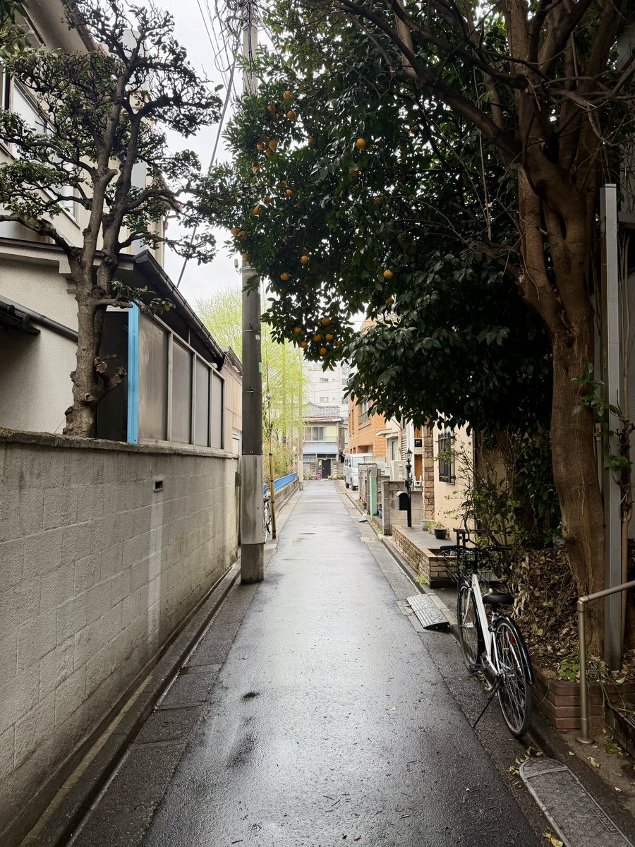moa_shisha's tweet photo. 3/20(祝金)開店済みです🚃

朝から降っていた雨も
ようやく止みましたね！☔️☀️

先週の広島出張から戻り
今日からいつも通り「もあ」にいます。

個展イベント中の@N_ramune_15も、
今日・明日は在廊予定です。
作品の背景など、ぜひお話しに来てください！

ゆったりお待ちしております😊

かわちゃん https://t.co/ZrQOlGq9wF