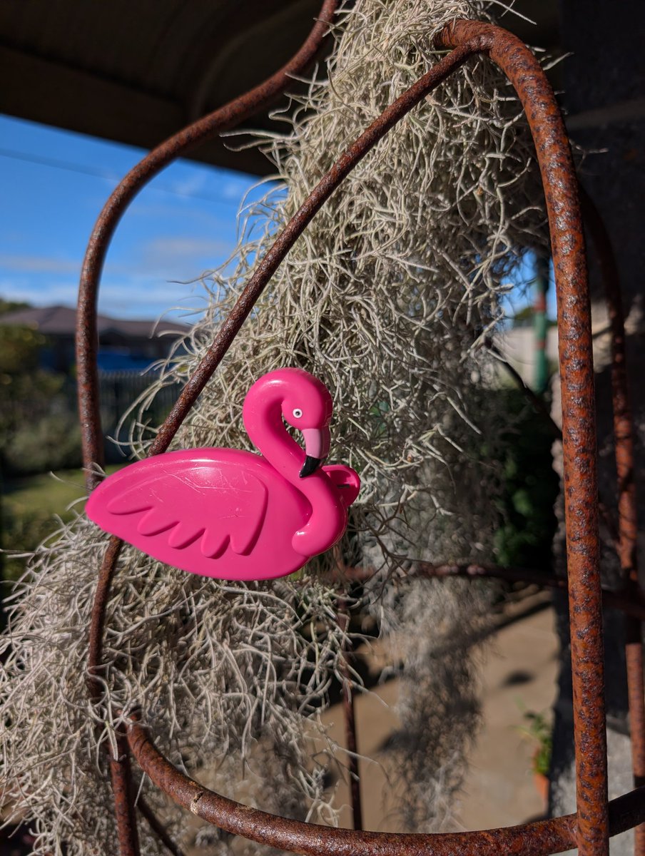 John Sheely tweet media