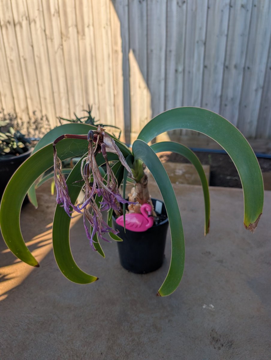 John Sheely tweet media