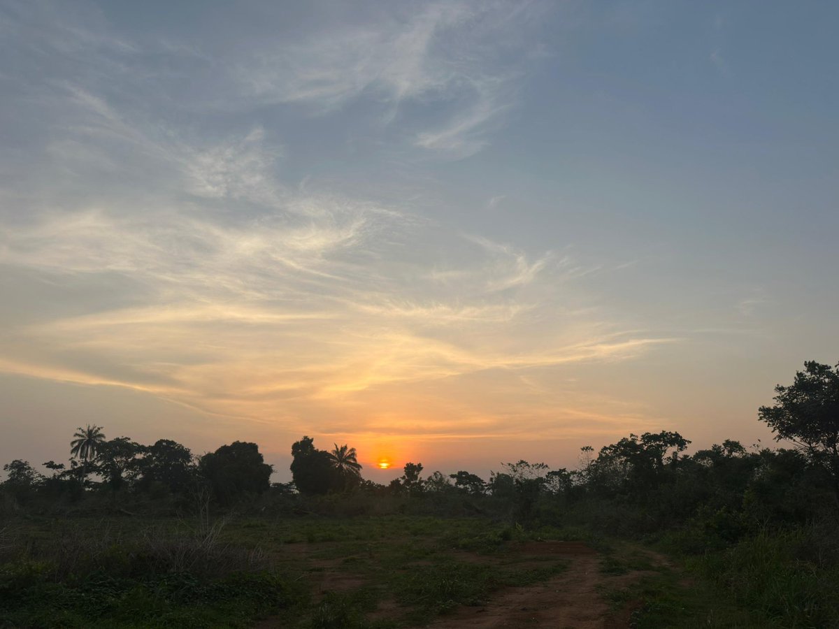 ℙ𝕖𝕥𝕖𝕣 𝕎𝕚𝕤𝕖𝕞𝕒𝕟 tweet media