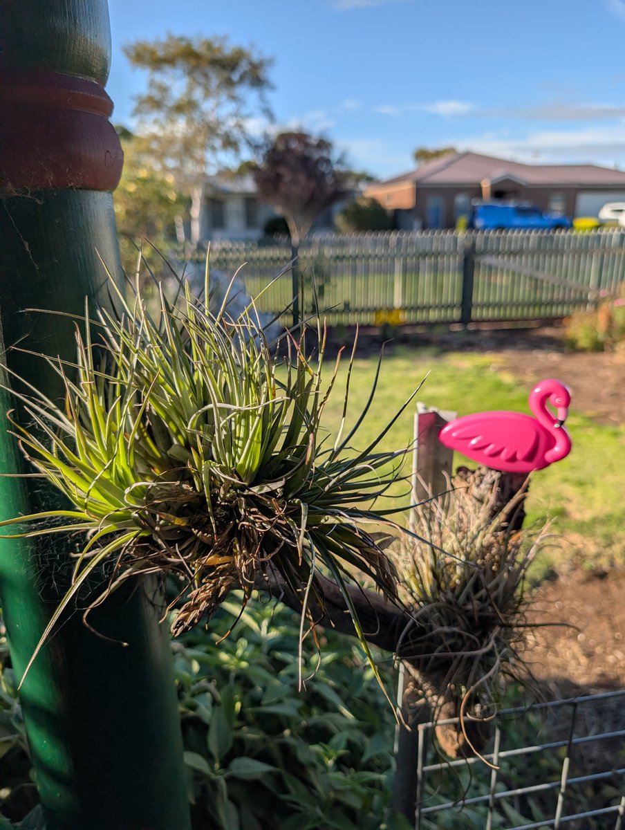 John Sheely tweet media