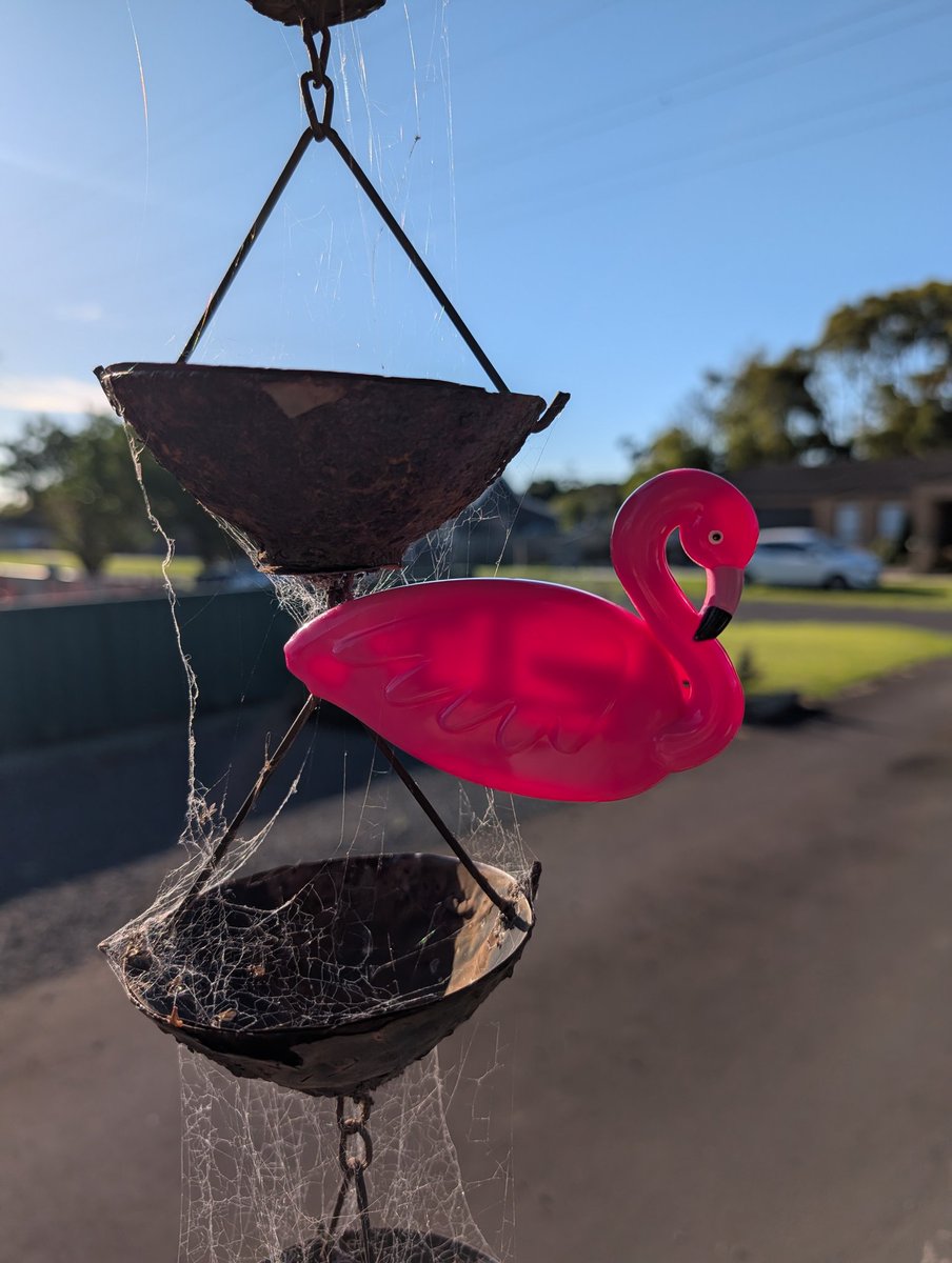 John Sheely tweet media