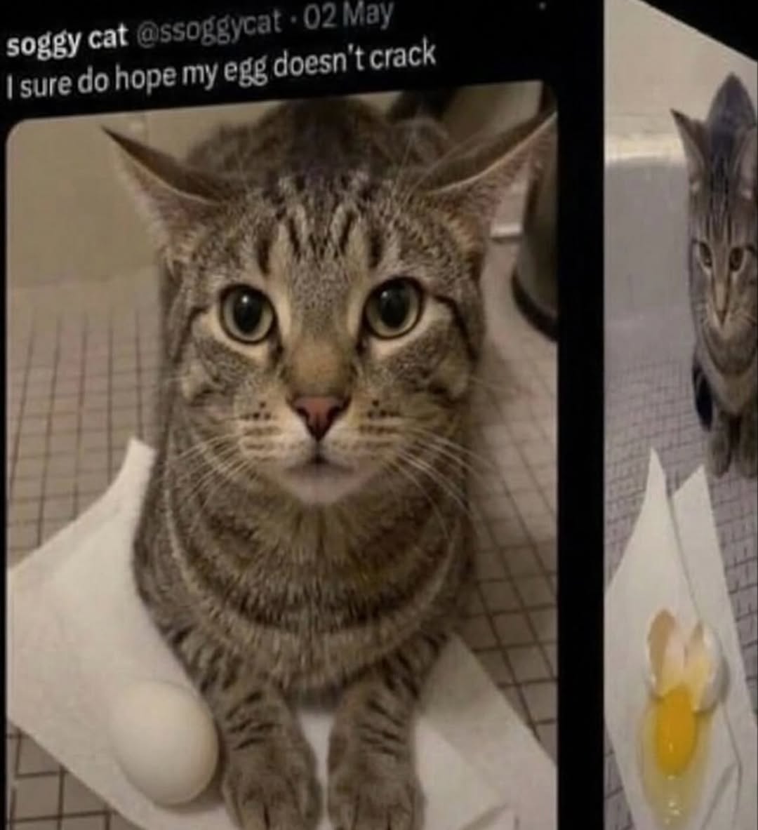 i drink soup tweet media