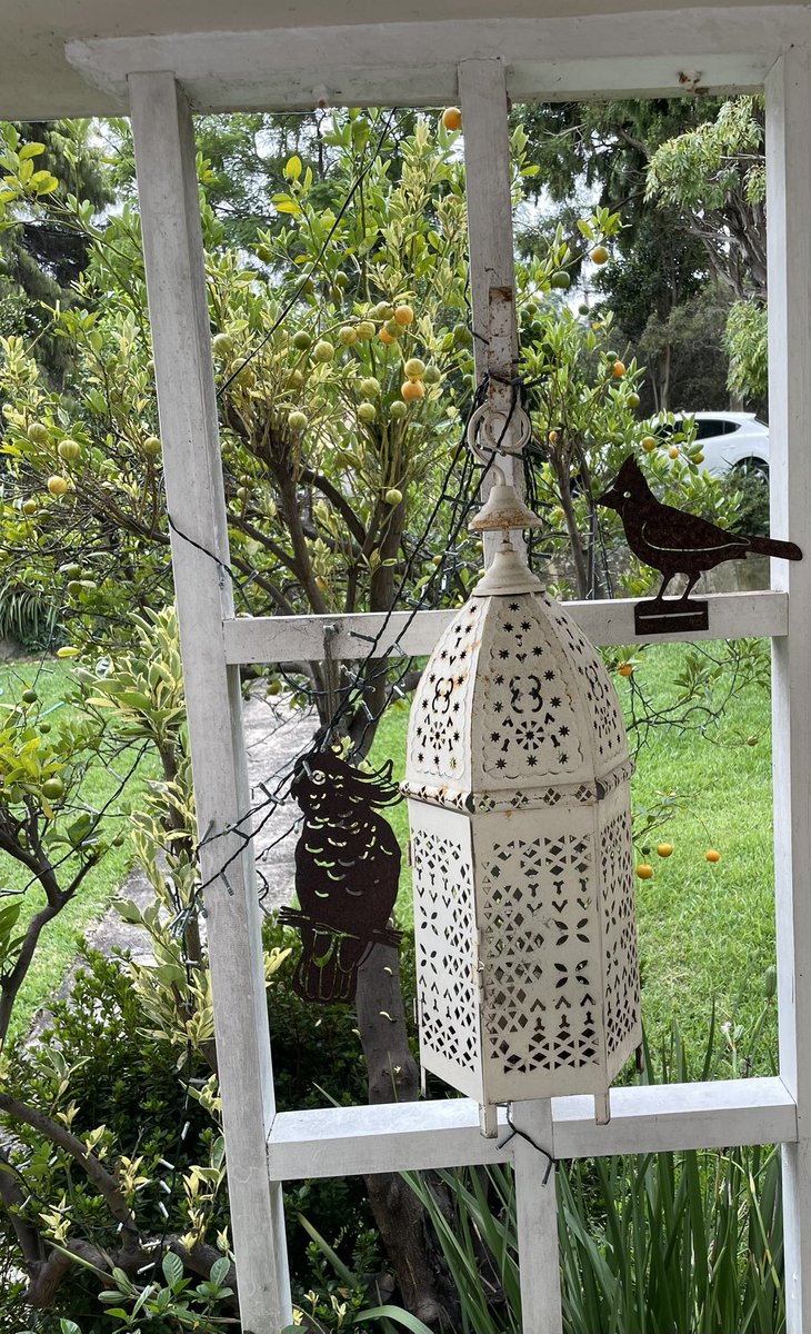 Manfred Pinson tweet media