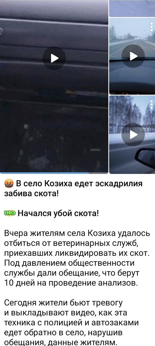 Ярость и Мультифора tweet media