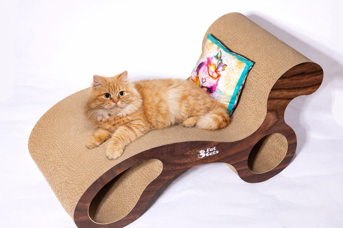 3fatcatsuk's tweet image. 🌟 Give your cats the ultimate adventure with the Supreme Wideboy! Its wide design and interactive features encourage activity and exploration. Say goodbye to boredom and hello to fun! 😸✨ Find out more at wix.to/AWoQ17A #CatEnrichment #HappyCats #Wideboy #CatsofTwitter